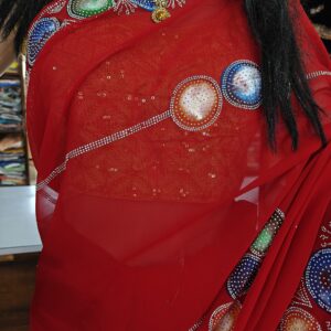 Beautiful Saffron Saree with Rainbow Border and Silver Stone Work Unique Designer Party Wear
